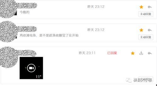 偷偷爆料视频在线观看,偷偷爆料视频在线观看，独家内容抢先看