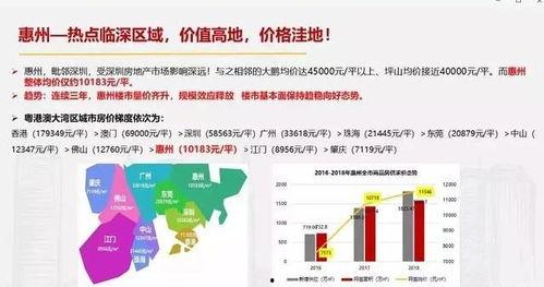 惠州爆料最新消息,揭秘城市热点事件背后的真相  第3张